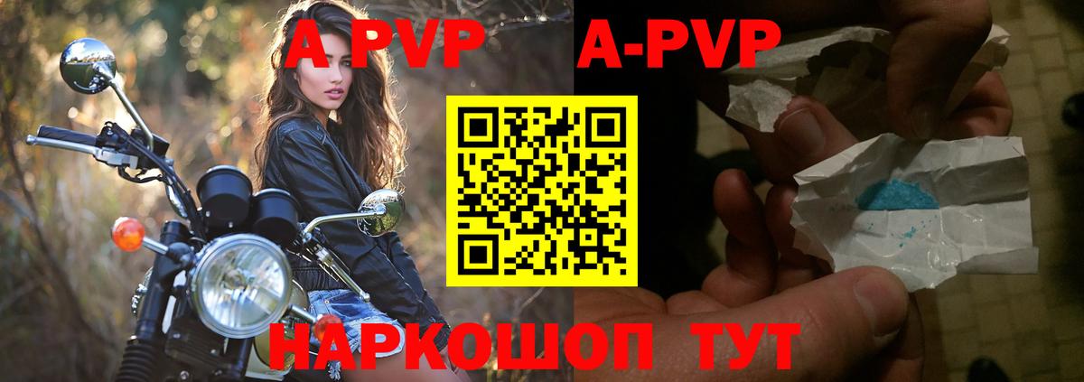 Alpha PVP СК КРИС Курчалой