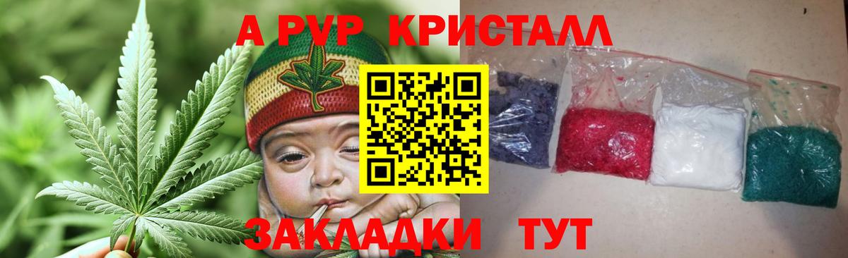 Курчалой  Альфа ПВП  Вход с VPN  A PVP Crystall 