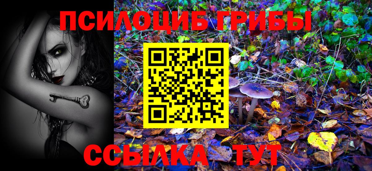 Псилоцибиновые грибы GOLDEN TEACHER Курчалой