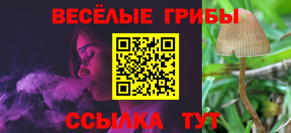 Курчалой  Галлюциногенные грибы прущие грибы  Галлюциногенные грибы Psilocybine cubensis  Вход с VPN 